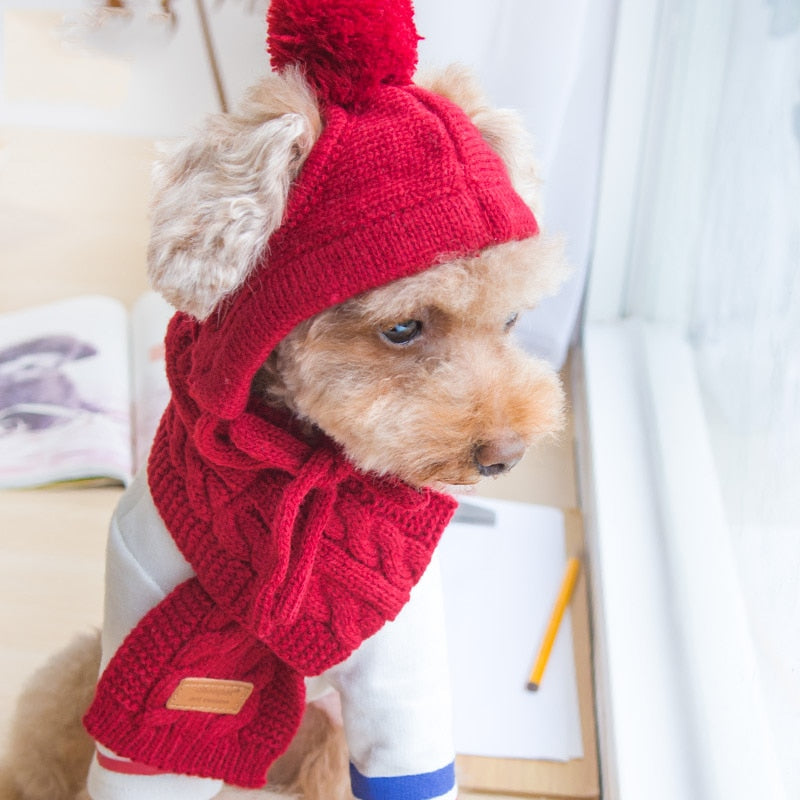 Knitted Hat And Scarf For Pets