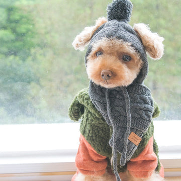 Knitted Hat And Scarf For Pets